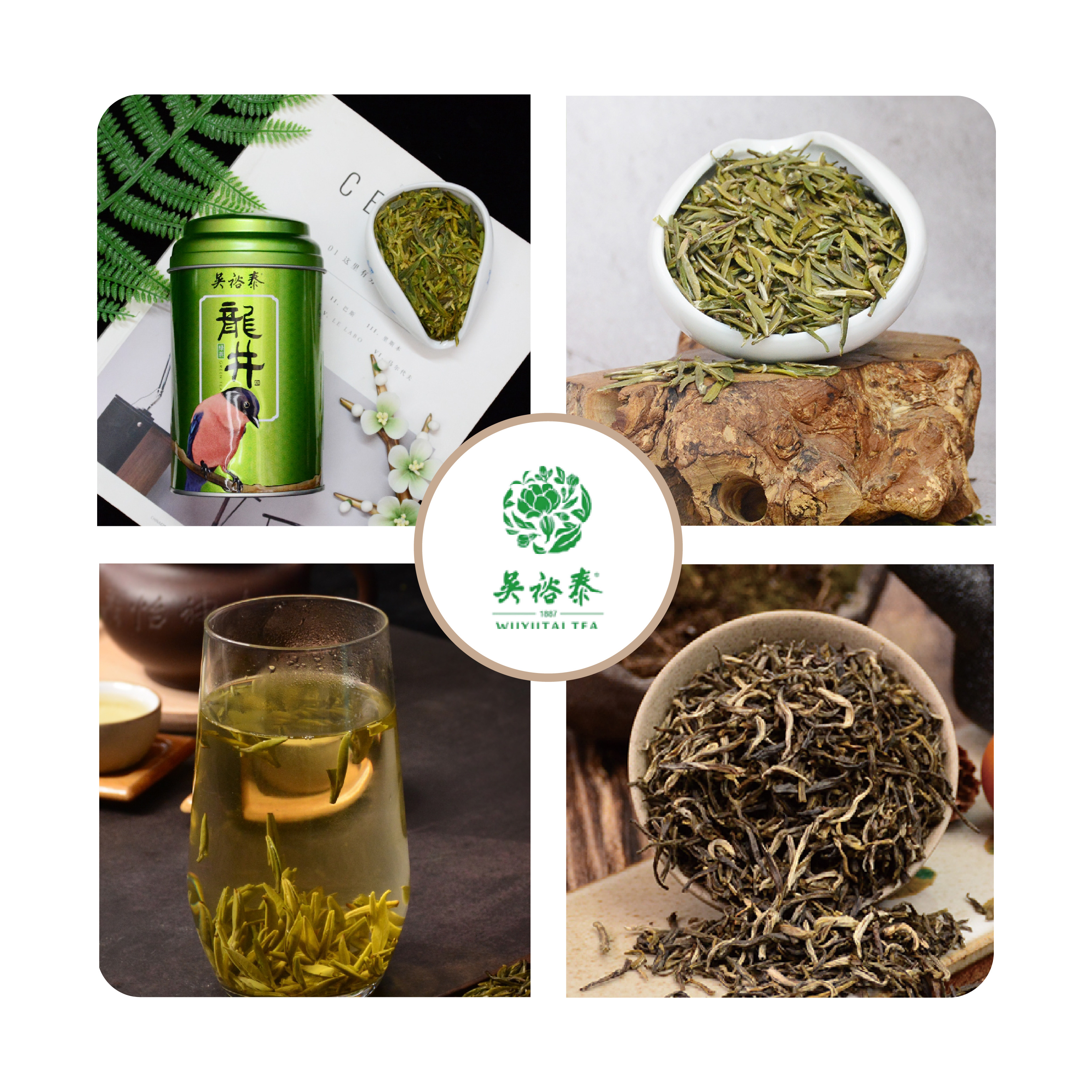 茶饮-01.jpg